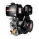 Diesel engine Weima WM195FBE with paper filter WM195FBE Photo 8