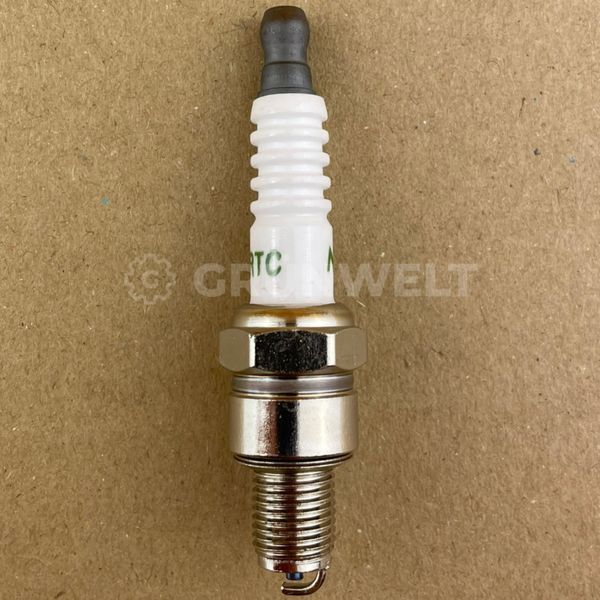 Spark plug for outboard motors  Zündkerze / Spark plug Photo