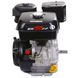 Benzinmotor Weima WM190F WM190F Foto 3