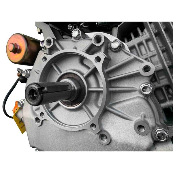 Petrol engine Weima WM192FE WM192FE Photo