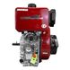 Diesel engine Weima WM192FAE with paper filter WM192FAE Photo 3